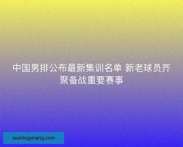 中国男排公布最新集训名单 新老球员齐聚备战重要赛事